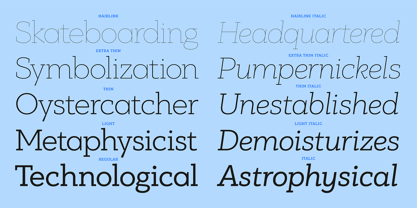 PF Bague Slab Pro Font Poster 5