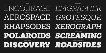 PF Bague Slab Pro Font Poster 8