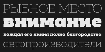 PF Bague Slab Pro Font Poster 13