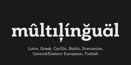 PF Bague Slab Pro Font Poster 11