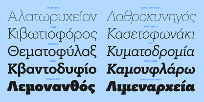 PF Bague Slab Pro Font Poster 12