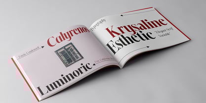 Brastine Font Poster 6