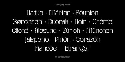 Teenage Wander Font Poster 6