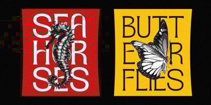 Teenage Wander Font Poster 7