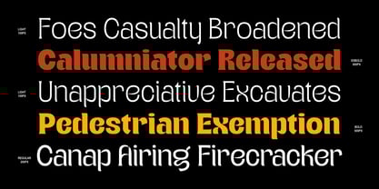 Teenage Wander Font Poster 2