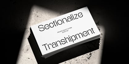 Teenage Wander Font Poster 5