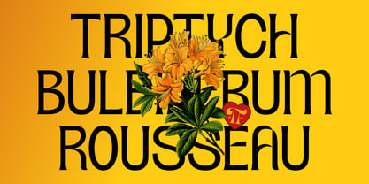 Teenage Wander Font Poster 8