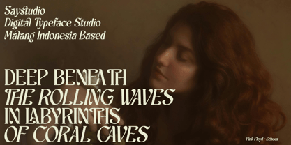 Schales Font Poster 2