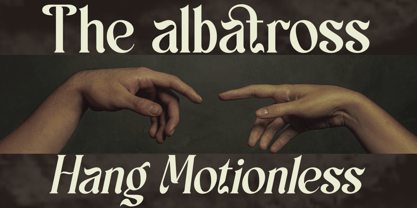 Schales Font Poster 3