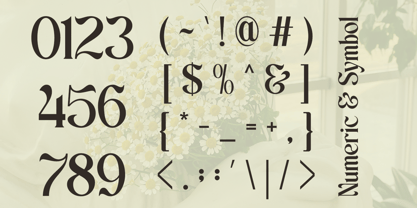 Schales Font Poster 13