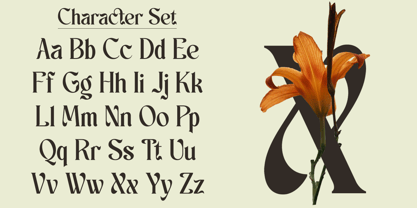 Schales Font Poster 11