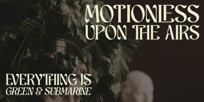 Schales Font Poster 9