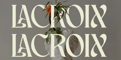 Schales Font Poster 5