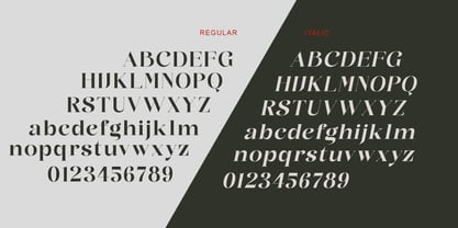 Feylandor Font Poster 8