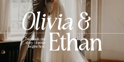 Rustique Serif Font Poster 5