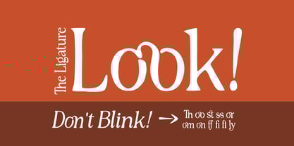 Rustique Serif Font Poster 7