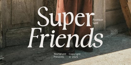 Rustique Serif Font Poster 6