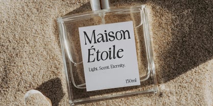 Rustique Serif Font Poster 9