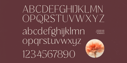 Rafbela Egitha Font Poster 13