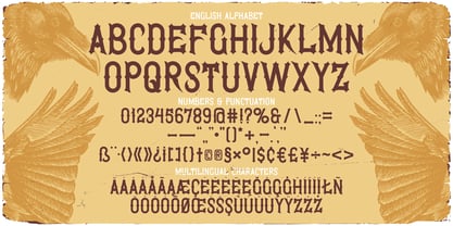 Raven Curse Font Poster 3