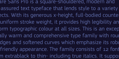 PF Square Sans Pro Font Poster 8