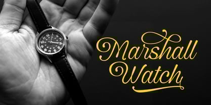 Vintage Millenia Font Poster 9