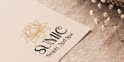 Sparkling Mellow Font Poster 3