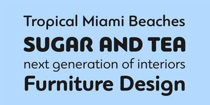 PF Bague Round Pro Font Poster 3