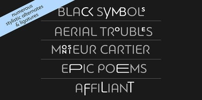 PF Bague Round Pro Font Poster 5