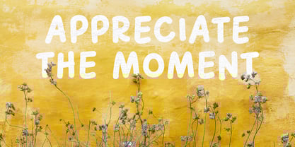 Mochibop Font Poster 10