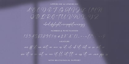 Winter Raya Font Poster 7