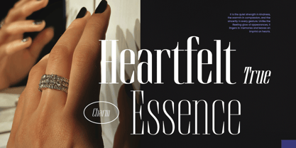 Brozeri Font Poster 7