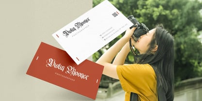 The White Knight Font Poster 2