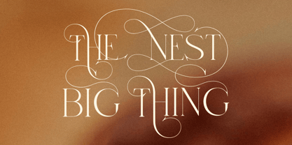 Carona Font Poster 3