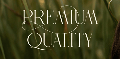 Carona Font Poster 9