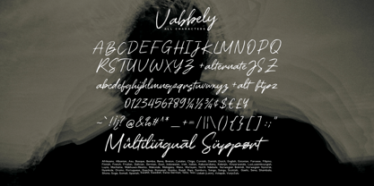 Vabbely Font Poster 13