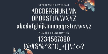 Bagrek Display Font Poster 6