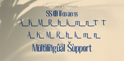 Bagrek Display Font Poster 7