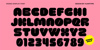 Roena Font Poster 8
