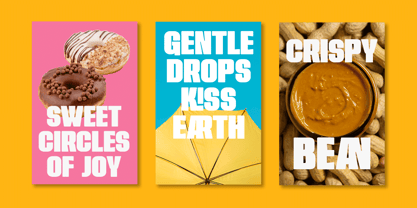Roneva Font Poster 6