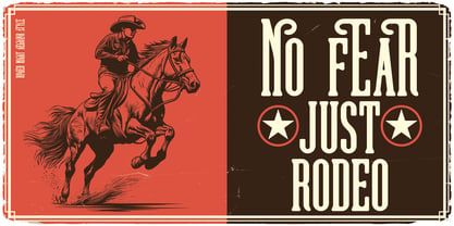 Rodeo Night Font Poster 4