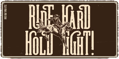 Rodeo Night Font Poster 2