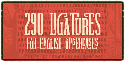 Rodeo Night Font Poster 5