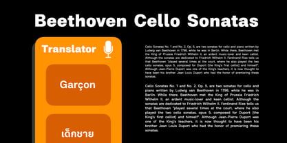 Pandit Font Poster 8