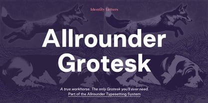 Allrounder Grotesk Font Poster 1