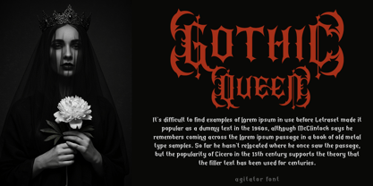 Agitator Font Poster 9