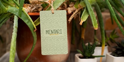 Verdant Botanika Font Poster 5