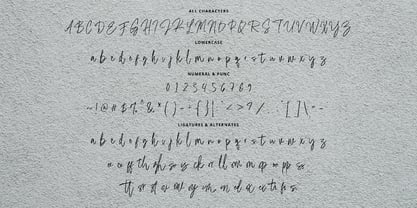 Mashaski Signature Font Poster 8