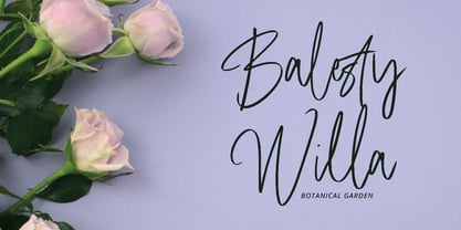 Mashaski Signature Font Poster 2