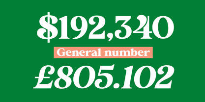 Roogle Font Poster 11